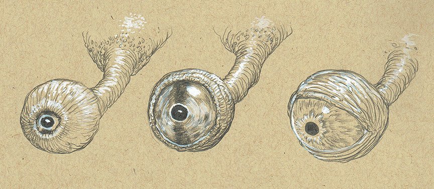 £ sketches of some eyeballs on stalks; the first shows the eyelid completely closed; the second open with a darker iris and the third open open and more human looking